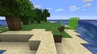 Beach biome (Image via Minecraft forum)
